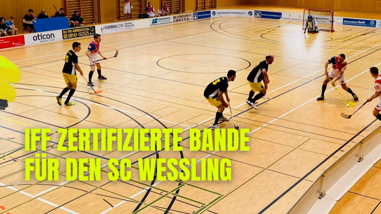 Große Ansicht vom Video
